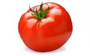 Cómo cultivar tomates ecológicos en interior