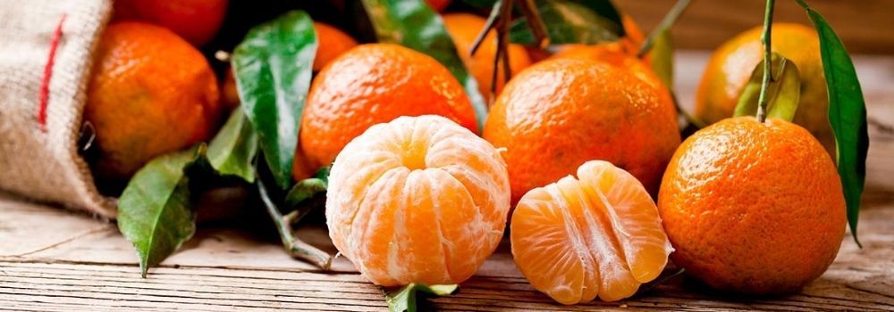 ••• Como cultivar mandarinas a partir de semillas ••• Albacete.TOP