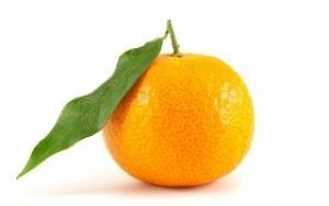 Cómo cultivar mandarinas a partir de semillas